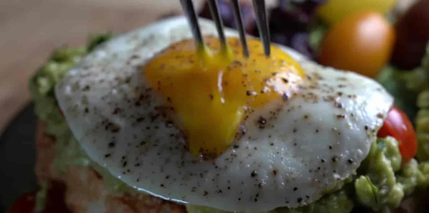 Hero image for Best Diner in Tampa, Florida